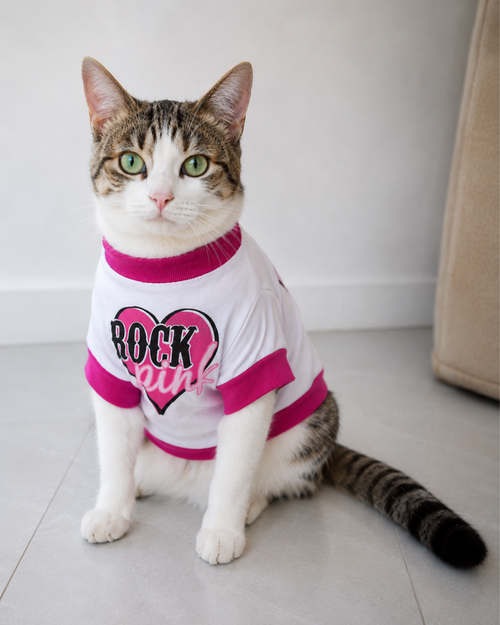 Cute Rock Pink Dog Shirt for Small Dogs & Cats