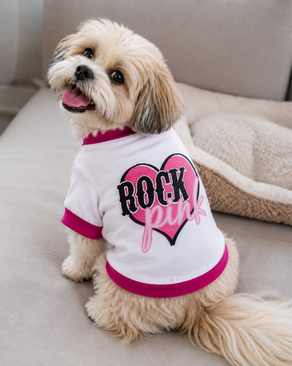 Cute Rock Pink Dog Shirt for Small Dogs & Cats