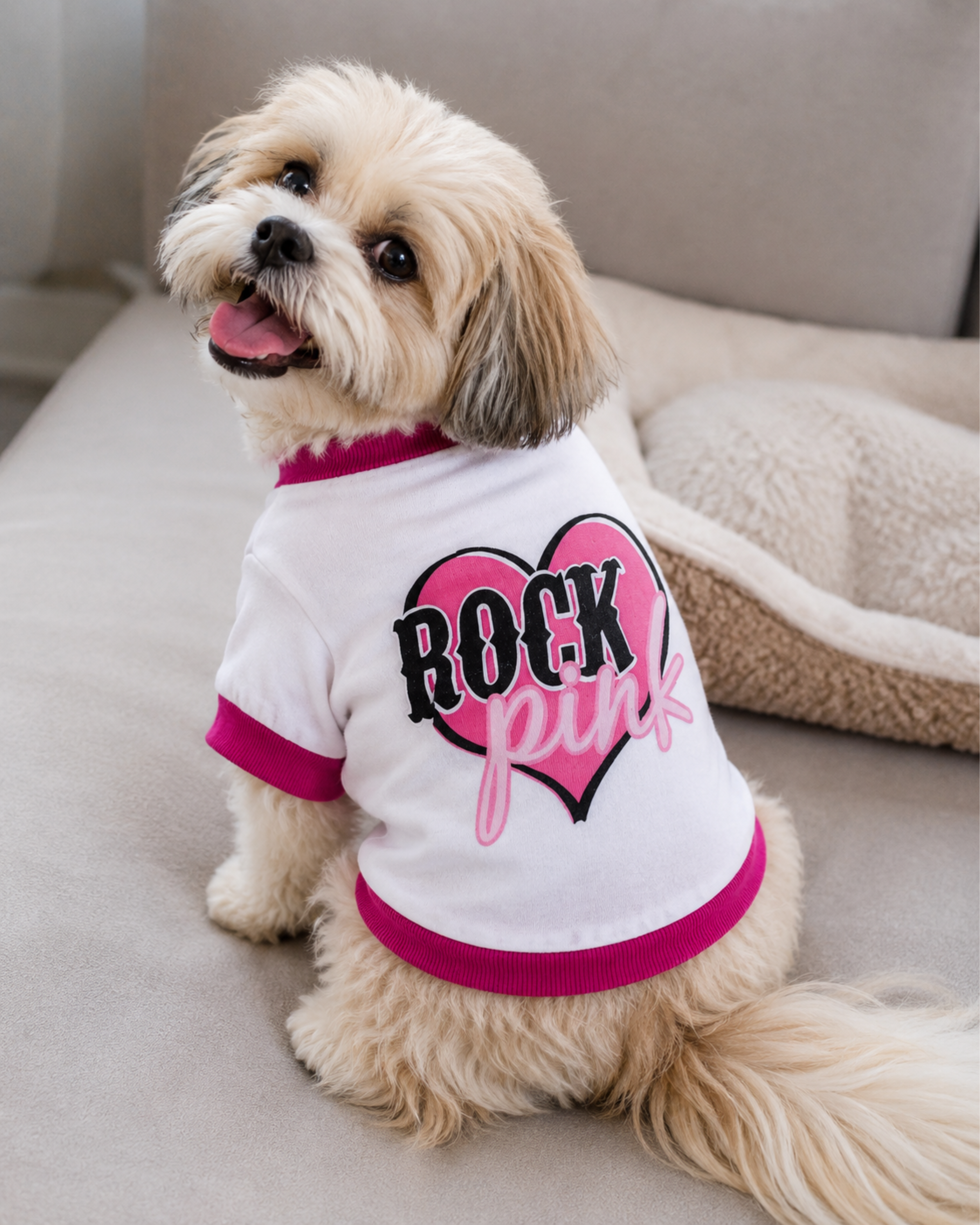 Cute Rock Pink Dog Shirt for Small Dogs & Cats